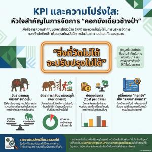 คอกขังเดี่ยวช้างป่า แก้ปัญหาคนฆ่าช้าง ช้างฆ่าคน ได้จริงหรือไม่?