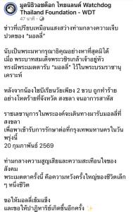 ในหลวงทรงรับ “มอลลี่” ไว้ในพระบรมราชานุเคราะห์ หลังถูกทำร้ายอาการสาหัส เตรียมส่งรักษาต่อ กทม.