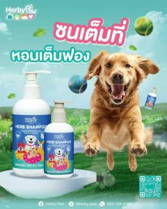 นวัตกรรม “Herby Paw” สเปรย์สมุนไพรดูแลโรคผิวหนังสัตว์เลี้ยง ตัวแทนประเทศไทยเข้าประกวด ณ สหพันธ์สาธารณรัฐเยอรมนี