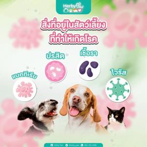 นวัตกรรม “Herby Paw” สเปรย์สมุนไพรดูแลโรคผิวหนังสัตว์เลี้ยง ตัวแทนประเทศไทยเข้าประกวด ณ สหพันธ์สาธารณรัฐเยอรมนี