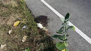 เร่งล่ากลุ่มรุมฆ่าช่างภาพ! ตร.บ้านโป่งรู้เบาะแสบางส่วน มุ่งปมหญิงปริศนานัดพบก่อนถูกทำร้ายดับ