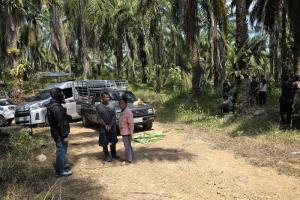 สส.บ้านใหญ่ชุมพร ไม่ทน ถูกอ้างชื่อยึดสวนปาล์มหมดสัมปทาน เปิดโปงทำเป็นขบวนการจัดสรรแบ่งล็อคเก็บผลประโยชน์เดือนละ 100 ล้าน