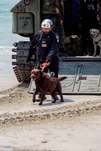 MI-6 สุนัขทรงเลี้ยง ”เจ้าฟ้าสิริวัณณวรี“ ร่วมฝึกยุทธ์สะเทินน้ำสะเทินบก จำลองเหตุภัยพิบัติสึนามิ