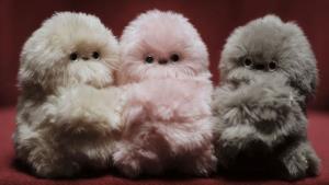 ยอมไม่ได้! บ.หุ่นยนต์ญี่ปุ่นดัน 'มิรุมิ' หวังเทียบชั้น 'ลาบูบู้'