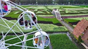 ผู้ว่าฯ นครปฐม เยือน ม.เกษตรฯ กำแพงแสน ชม “ชมพูพันธุ์ทิพย์” บานสะพรั่ง รับกระแสท่องเที่ยวคึกคัก