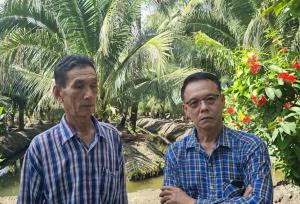 สวนมะพร้าวดำเนินสะดวกอ่วม! ราคาผันผวนหนัก วอนรัฐตรวจสอบล้งกำหนดราคา–คุมเข้มน้ำมะพร้าวปลอมปน หวั่นตลาดพังทั้งระบบ