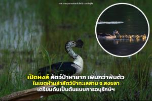 ภาพ: กรมอุทยานแห่งชาติ สัตว์ป่า และพันธุ์พืช