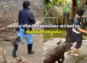 เพจดัง เทียบความเหมือน-ความต่าง “พั้นช์คุงกับหมูเด้ง”
