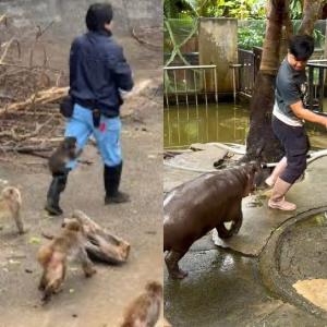เพจดัง เทียบความเหมือน-ความต่าง “พั้นช์คุงกับหมูเด้ง”
