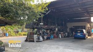 “ป้าตุ๊” หญิงหัวใจแกร่ง แม้วัย 70 กว่า ไม่กลัวความสูง สู้ปีนต้นตาลเพื่อนำใบตาลมาสานชะลอมขาย พร้อมสอนงานจักสานให้ผู้สนใจ!