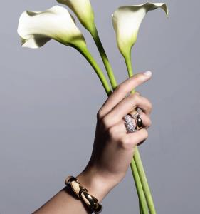 เวอร์เนียร์ “Abbraccio &amp; Calla” คอลเลกชันระดับไอคอน