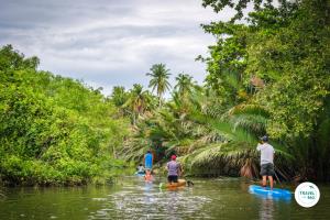 สำรวจความสมบูรณ์ของระบบนิเวศในอัมพวา