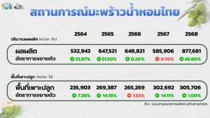 เปิดห่วงโซ่มะพร้าวน้ำหอมไทย ‘ต้นเหตุ’ ราคาผันผวนหนัก
