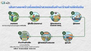 เปิดห่วงโซ่มะพร้าวน้ำหอมไทย ‘ต้นเหตุ’ ราคาผันผวนหนัก