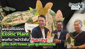 ก้าวสู่การเป็นเบอร์ 1 ตลาดไม้แปลก-ไม้หายากโลก ชูเป็น Soft Power มูลค่าสูง ยกให้เป็น “Supercar” แห่งวงการพรรณไม้