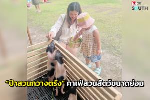 ปิ๊งไอเดีย! โล๊ะสวนยางเก่าเปิดคาเฟ่สวนสัตว์ขนาดย่อมใกล้สนามบิน “ป่าสวนกวางตรัง”