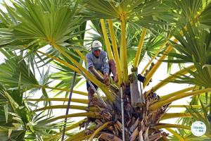 หลงเสน่ห์ "สงขลา" เมืองแห่งรสชาติอาหารหลากวัฒนธรรม