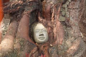 ภาพ: แฟนเพจวัดสวายชุม กัมพูชา