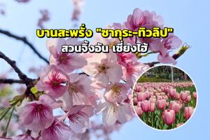 (ภาพวันที่ 11 มี.ค.69)