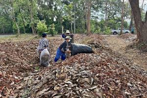 “ตลาดนัดใบไม้แลกไข่” โมเดลสันกำแพง ชวนชุมชนเปลี่ยนใบไม้แห้งเป็นไข่ไก่ ลดเผา ลดฝุ่น
