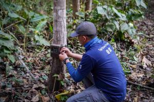 นิสสัน x WWF สานต่อความร่วมมือ ปีที่ 3 เสริมทัพภารกิจอนุรักษ์ด้วยพลังความ “ทน พร้อม ลุย”