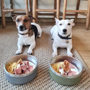 Barketek ออกแบบของใช้  ตอบโจทย์ไลฟ์สไตล์แต่งบ้านของคนรักสุนัข