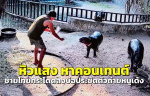 ภาพจากคลิปสวนสัตว์เปิดเขาเขียว