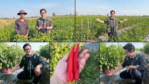 เคนโด้ผงาดขึ้นแท่น "เจ้าพ่อพริก" ผนึกกำลัง "De Smit Food International" ลุยตลาดแปรรูปส่งออกทั่วโลก ชูกำลังผลิต 40 ล้านกิโลกรัมต่อปี