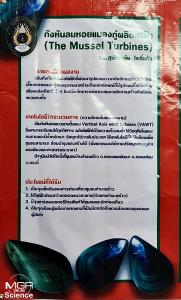 (VDO Clip)  ถอดแบบ “เปลือกหอยแมลงภู่” เป็นกังหันแนวตั้งรับลมทุกทิศทาง เปลี่ยนลมเป็นไฟฟ้า สิ่งประดิษฐ์น่าสนใจในยุคพลังงานทางเลือก