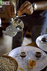 โรงคั่วกาแฟวังน้ำเขียว ดันกาแฟGI อีสาน หนุนเกษตรกร 20 จังหวัดปลูกโมเดลโคกหนองนา รับโตกาแฟทั่วโลก
