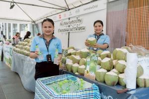 จัดเต็ม!! เซ็นทรัล ร่วมขับเคลื่อน “มะพร้าวน้ำหอมไทย” อย่างเป็นระบบ