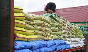 เลขาธิการมูลนิธิชีววิถี แฉ‘ไอ้โม่ง’กักตุนปุ๋ย ได้เงินเพิ่มกว่า 36,000 ล้านบาท!?