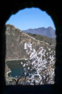 (ชมภาพ) สรรค์มวลดอกไม้ ณ กำแพงเมืองจีน 'ด่านหวงฮวาเฉิง' ในนครปักกิ่ง