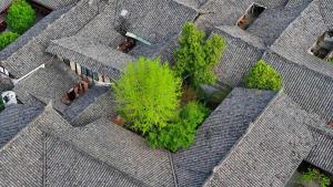 ชมวิวไม้ใหญ่ใบเขียวแต้มสีสัน 'เมืองโบราณล่างจง' ในเสฉวน