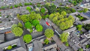 ชมวิวไม้ใหญ่ใบเขียวแต้มสีสัน 'เมืองโบราณล่างจง' ในเสฉวน