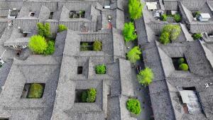 ชมวิวไม้ใหญ่ใบเขียวแต้มสีสัน 'เมืองโบราณล่างจง' ในเสฉวน