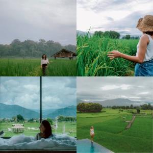 แสงทองรีสอร์ท จ.น่าน  ที่พักบรรยากาศใกล้ชิดธรรมชาติสีเขียว ภูเขา ทุ่งนา เติมพลังวันหยุด และช่วยต่อลมหายใจ ผปก.รีสอร์ท