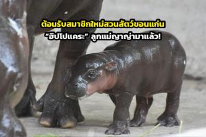 ภาพจากสวนสัตว์ขอนแก่น