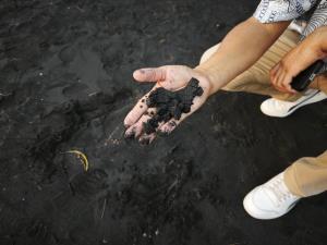 หาดนางทอง อันซีนพังงา หาดทรายสีดำพบไม่กี่แห่งในโลก (ภาพ : อโนทัย งานดี) 