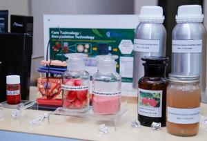 วว. เพิ่มมูลค่าสารสกัด “มะม่วงหาวมะนาวโห่” วิจัยพัฒนาเป็นผลิตภัณฑ์เสริมอาหารรูปแบบเจลลี่