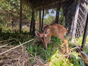 ภาพจากเพจ PR กรมอุทยานแห่งชาติ สัตว์ป่า และพันธุ์พืช