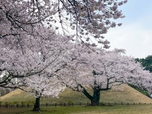 Daereungwon Tomb Complex