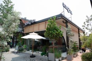 (คลิป) Rincha Tearoom ฉีกรูปแบบร้านชา ผ่านเครื่องสกัดชาครั้งแรกในไทย เจาะเทรนด์ดื่มชาเพื่อสุขภาพ