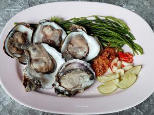 หรอยแรง หอยนางรม “บ้านโคกไคร” สดจากแหล่ง ผิวคล้ำ ฉ่ำหวาน ไซส์พอดีคำ 