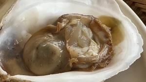 หรอยแรง หอยนางรม “บ้านโคกไคร” สดจากแหล่ง ผิวคล้ำ ฉ่ำหวาน ไซส์พอดีคำ 