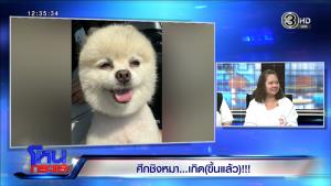 ศึกชิงหมา! เจ้าของร่ำไห้ ป่วยสโตรกฝากเลี้ยง “น้องกะทิ” อาการดีขึ้นขอรับคืน ถูกเรียกเงิน 1 แสน “กรรชัย” ลั่นยอมจ่ายให้เอง!