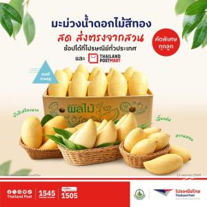 ไปรษณีย์ไทยดัน EMS ส่งด่วนผลไม้ ช่วยชาวสวนฝ่าวิกฤตล้นตลาด