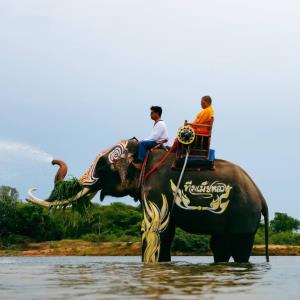 ภาพ: ททท.สุรินทร์