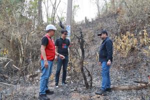 ทรู คอร์ปอเรชั่น ระดมทีมเสริมแกร่งโครงข่ายภาคเหนือ รับมือวิกฤตไฟป่า - PM2.5