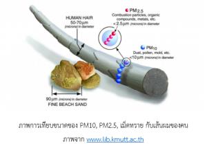 การบริหารจัดการเรื่องสุขภาพและสิ่งแวดล้อมของเมือง อันเป็นระบบที่มีความซับซ้อนสูงมาก (VDO Clip)